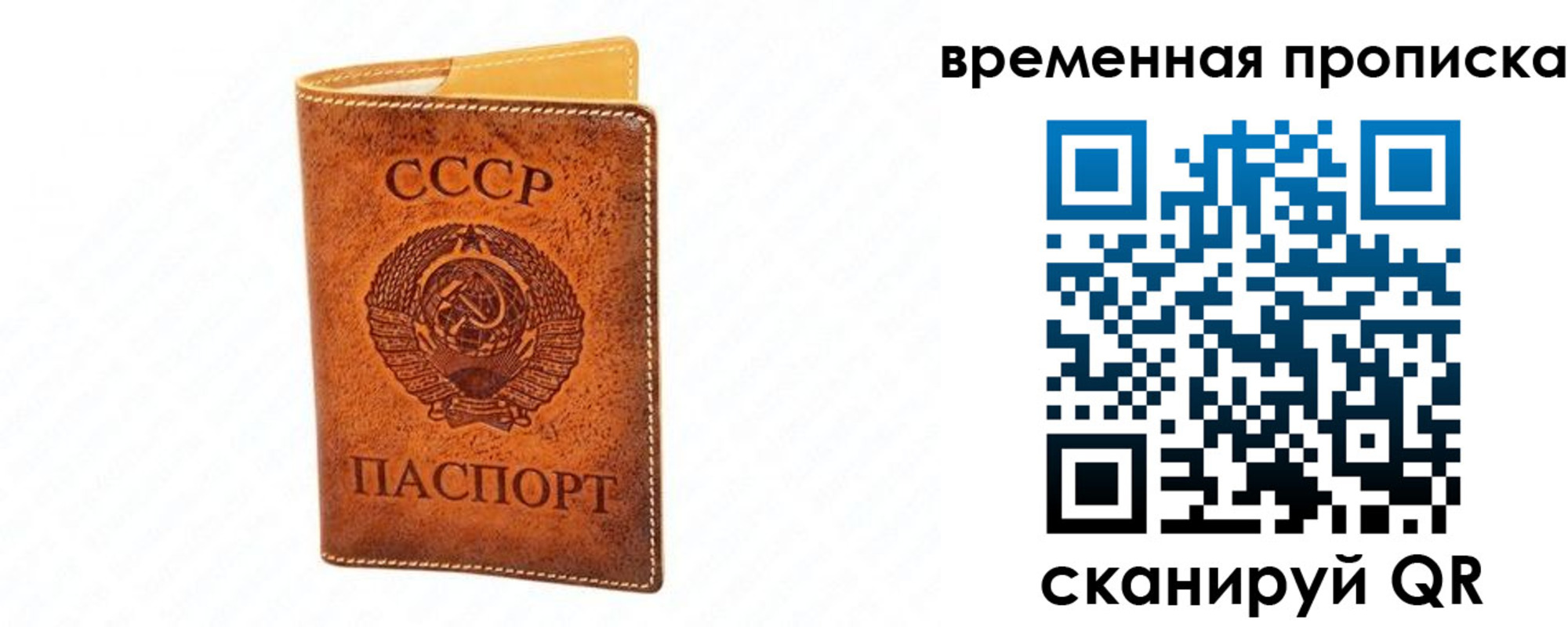 временная прописка в Пересвете